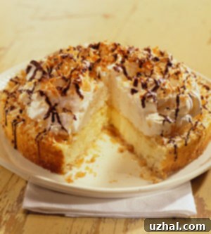 coconut-macaroon cheesecake