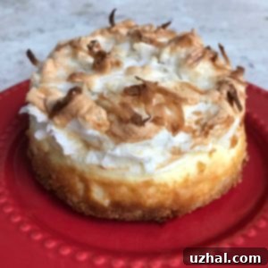 A small, round Miniature Macaroon Cheesecake, topped with fluffy meringue