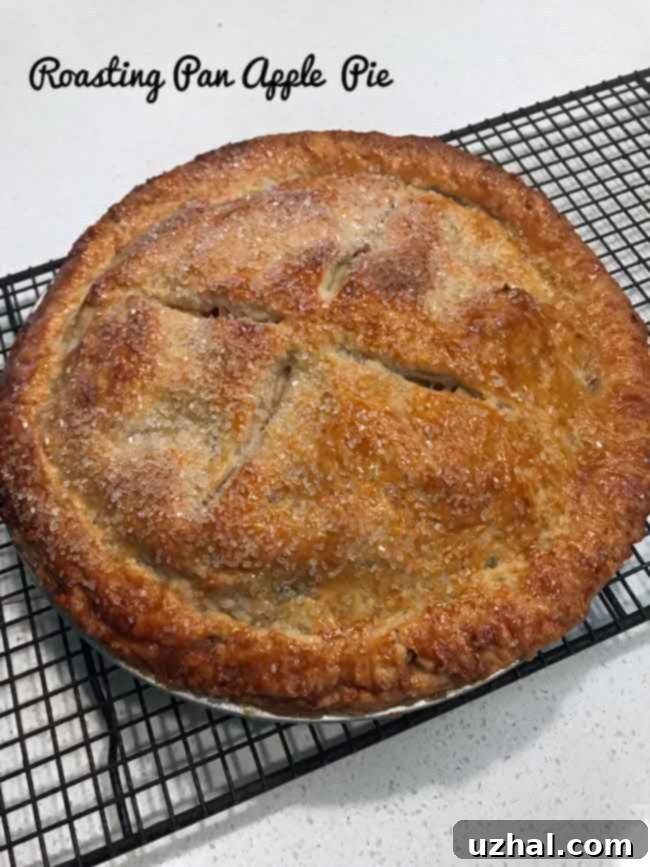 Roasting Pan Apple Pie with a golden brown crust, beautifully baked and ready to be served