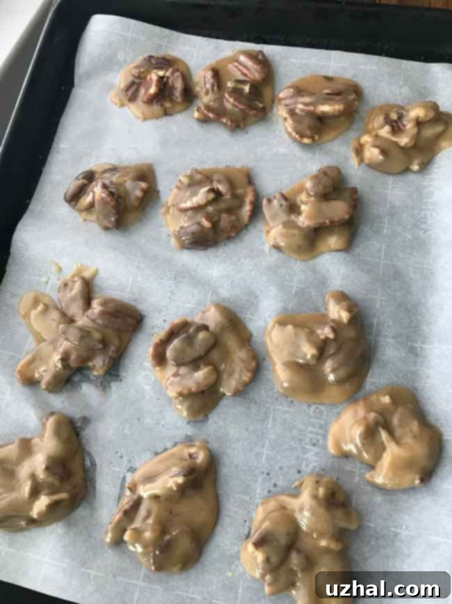 Close-up of freshly made pecan pralines