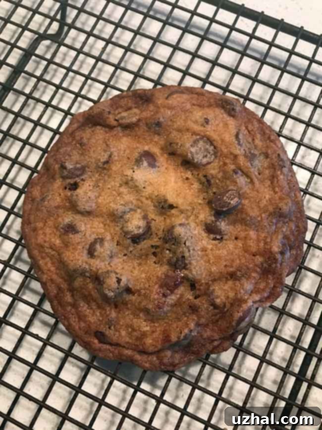 Perfectly baked thin and crunchy chocolate chip cookie on a cooling rack, showcasing its golden-brown edges and crispy texture.