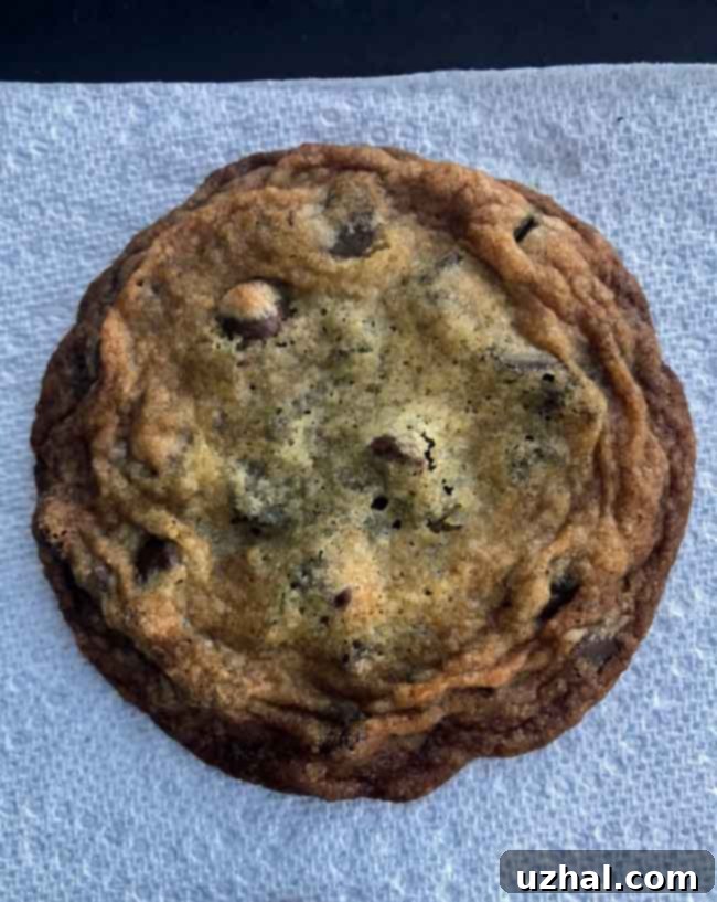 Close-up of a thin, golden-brown chocolate chip cookie with a crispy edge and visible chocolate chips, demonstrating ideal crunch.