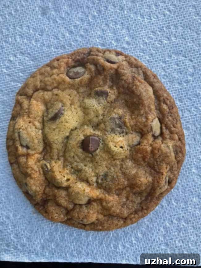 A tray of freshly baked, evenly browned thin and crunchy chocolate chip cookies cooling on a wire rack.