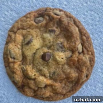 A perfectly baked thin and crunchy chocolate chip cookie, golden brown and speckled with chocolate chips.