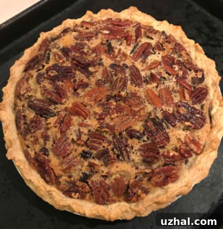 Less Sweet Sour Cream Pecan Pie Slice