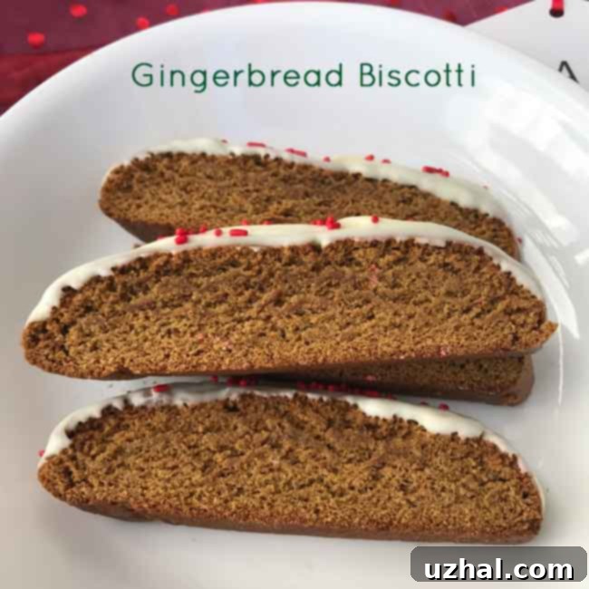 Easy Gingerbread Biscotti