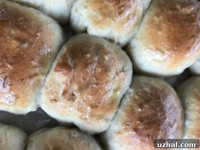 Oatmeal Dinner Rolls
