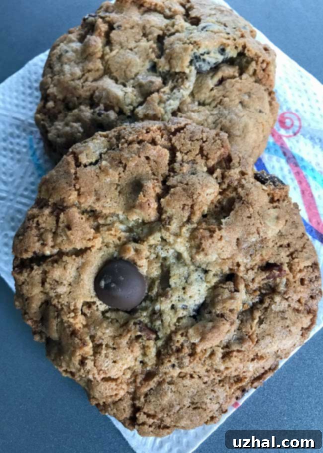 recipes from 2019