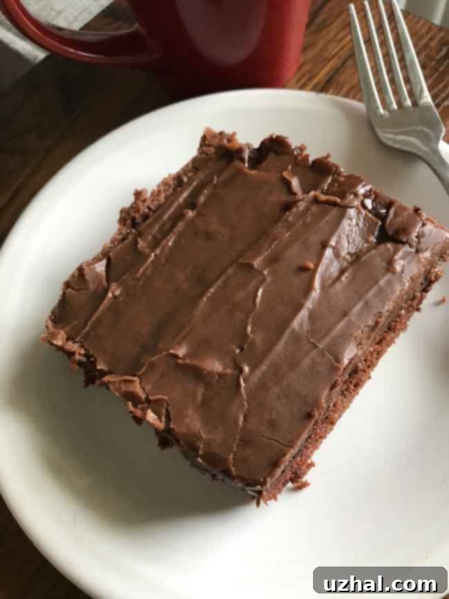 Delicious Small Texas Sheet Cake in an 11x7 inch pan, perfectly sized for smaller gatherings