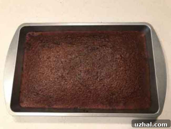 Close-up of a freshly baked Small Texas Sheet Cake with fudge frosting