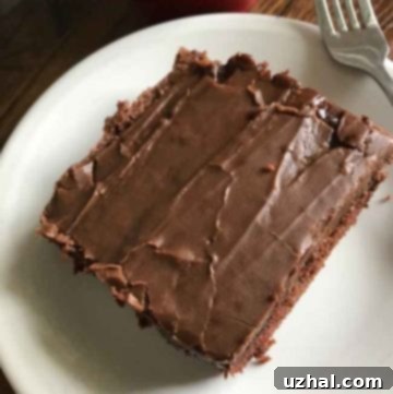 Small Texas Sheet Cake with rich chocolate frosting