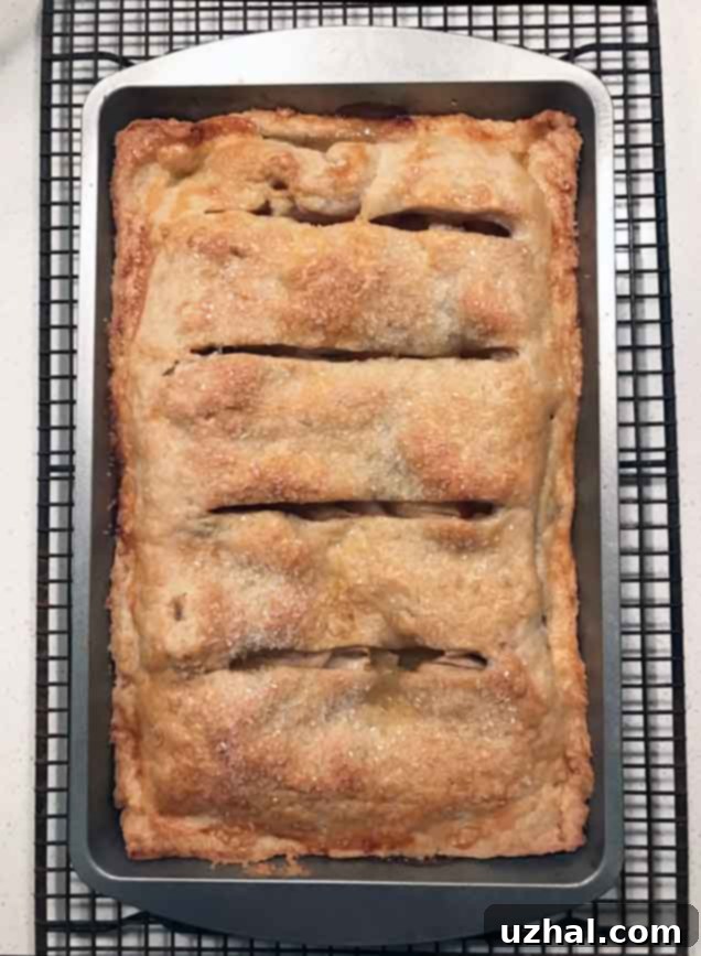 Small Apple Slab Pie