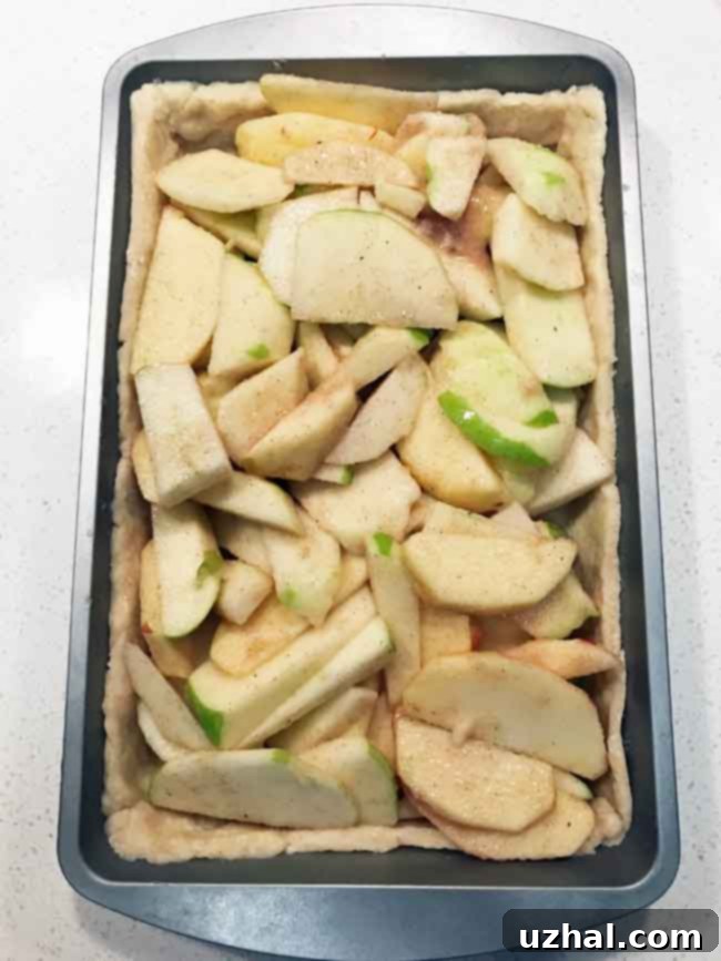 Apple Slab Pie