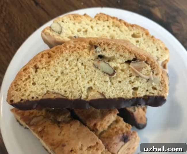 Salted Caramel Chips Biscotti