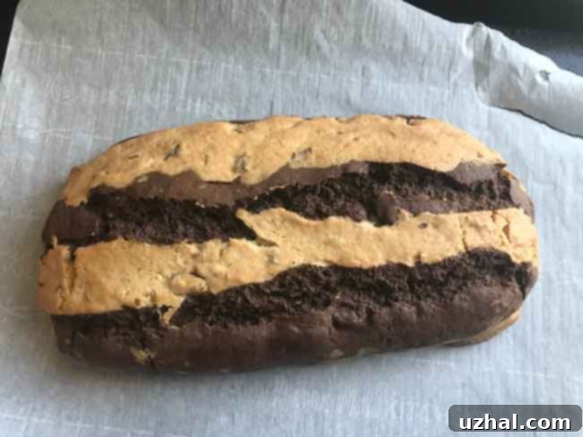 A baked checkered biscotti log, pre-sliced, showing distinct chocolate and vanilla sections.