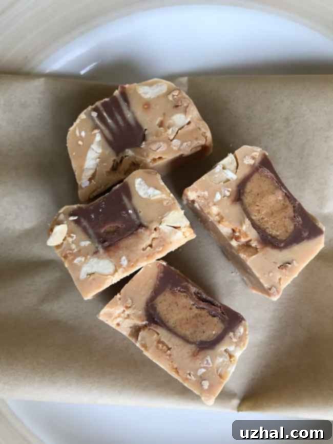 Easiest Peanut Butter Fudge