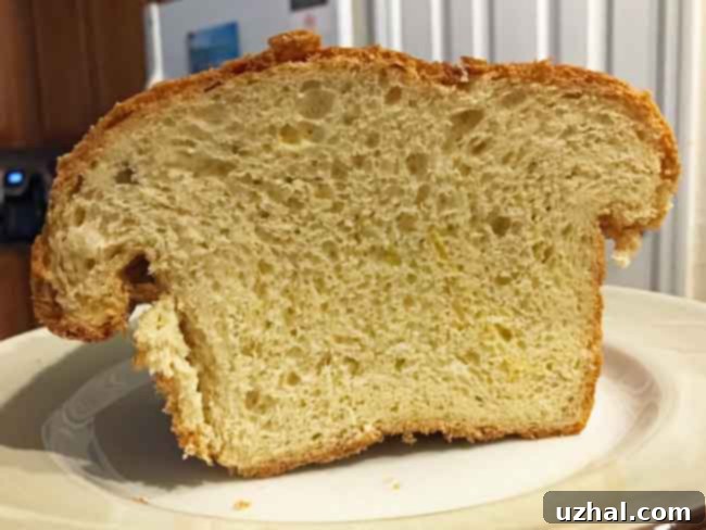 Delicious, golden-brown no-knead bread loaf and rolls, ready to be served.