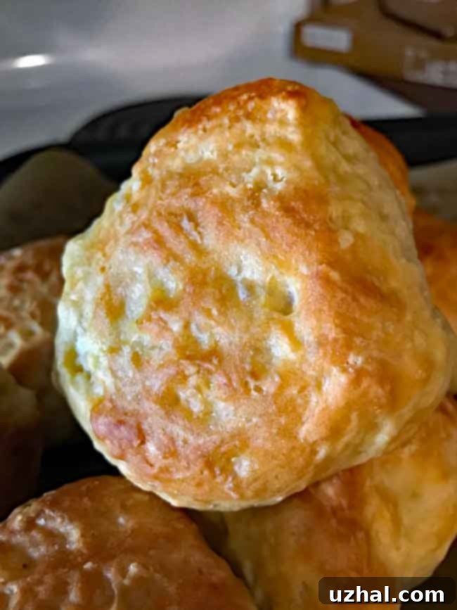 Close-up of freshly baked golden-brown no-knead rolls with a soft interior.