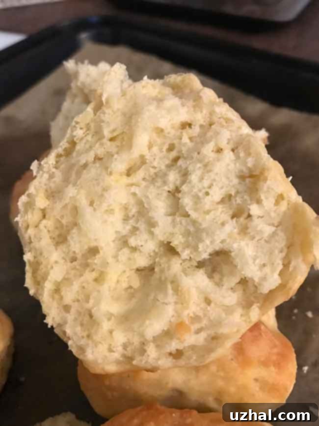 Bowl of very wet, shaggy no-knead dough before its first rise, indicating proper consistency.