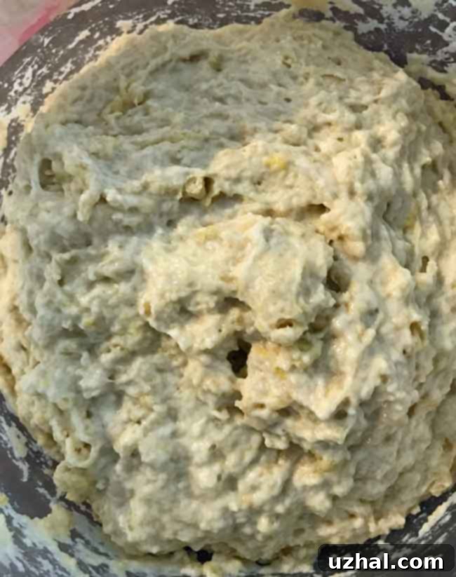 Close-up of risen no-knead dough in a bowl, showing its airy, bubbly texture after 3 hours.