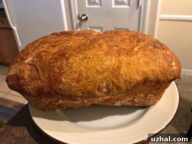 A sliced loaf of No-Knead Bread and a basket of rolls, showcasing its versatility and deliciousness.