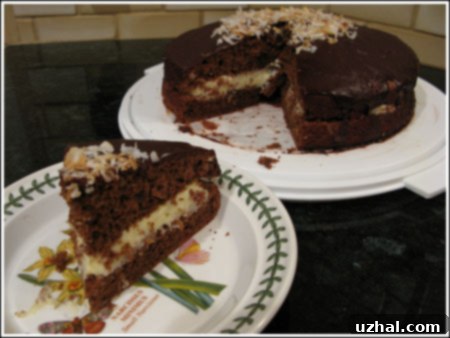 Two Coconut Pastry Cream Boston Cream Pies, one large 'Mama Cake' and one small 'Baby Cake', showcasing the rich chocolate sponge and creamy coconut filling with a glossy chocolate glaze.