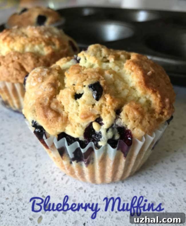 Tried and True Muffin Recipes