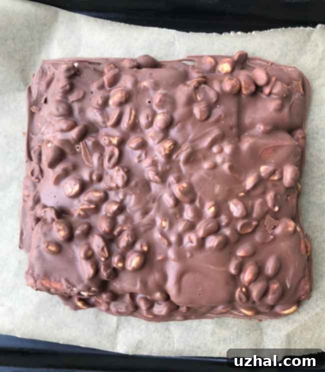 Finished Chocolate Charlie squares ready to eat