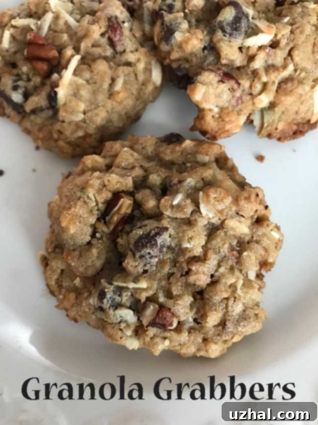 Chocolate Chip Coconut Granola Bites 2 Granola-Coconut-Chocolate Chip Grabbers Cookies