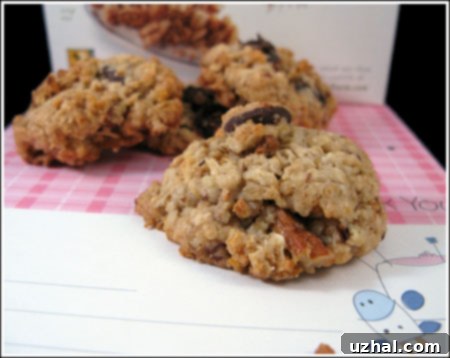 Chocolate Chip Coconut Granola Bites 3 Freshly baked Granola-Coconut-Chocolate Chip Grabbers cookies