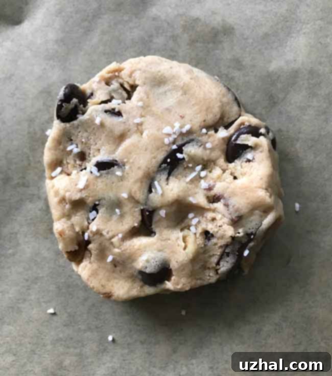 Close-up of New York Times vegan chocolate chip cookie dough
