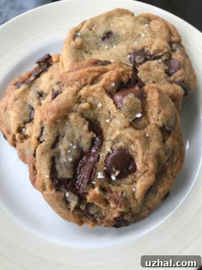 New York Times style vegan chocolate chip cookie with sea salt