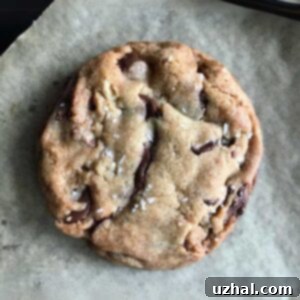 Vegan Chocolate Chip Cookies from The New York Times recipe