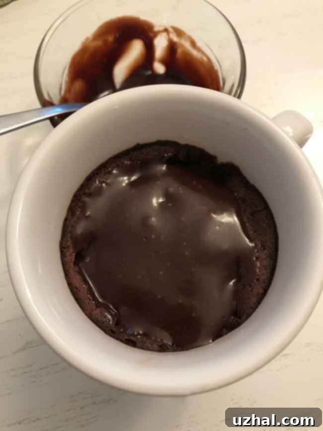 Microwave Chocolate Mug Cake Recipe with Frosting