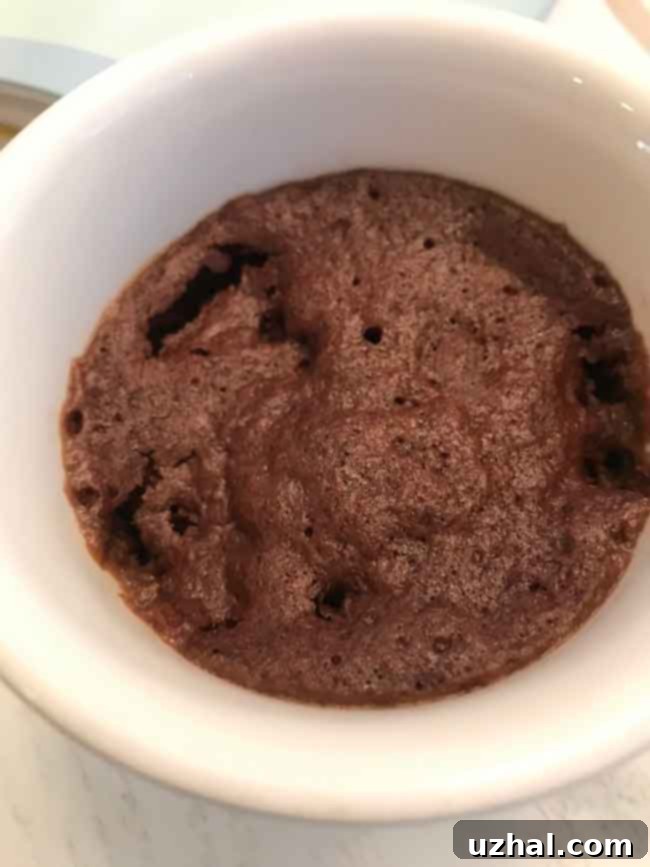 5-Minute Mug Cakes cookbook next to a freshly made chocolate mug cake