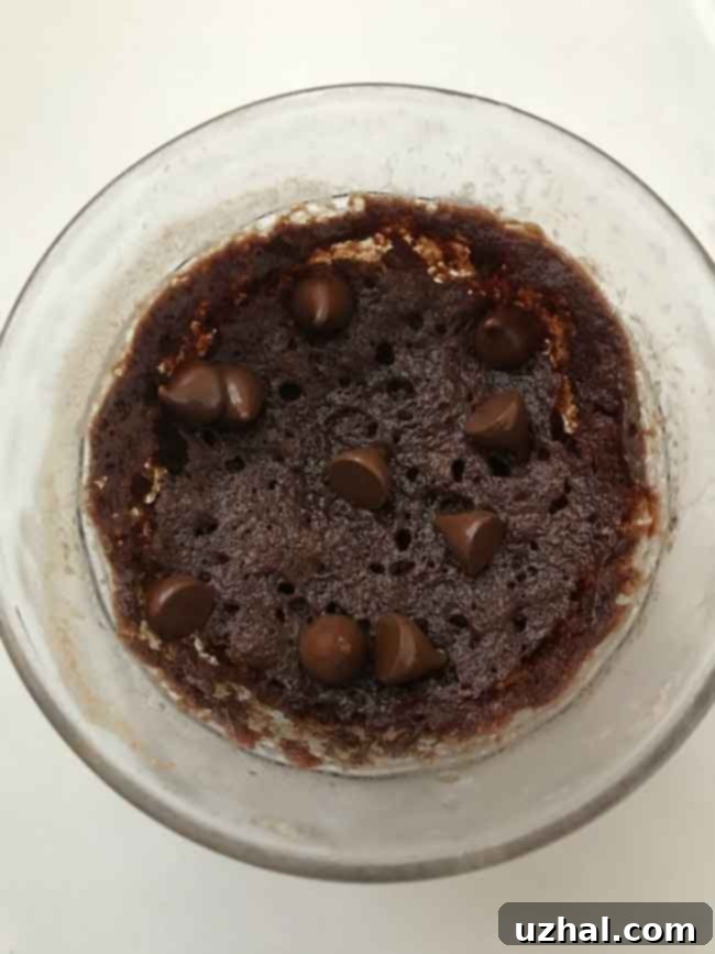 Chocolate Mug Cake Recipe served with ice cream
