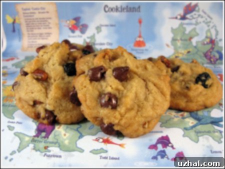 Delicious Whole Wheat Blueberry Chocolate Chip Cookies cooling on a rack