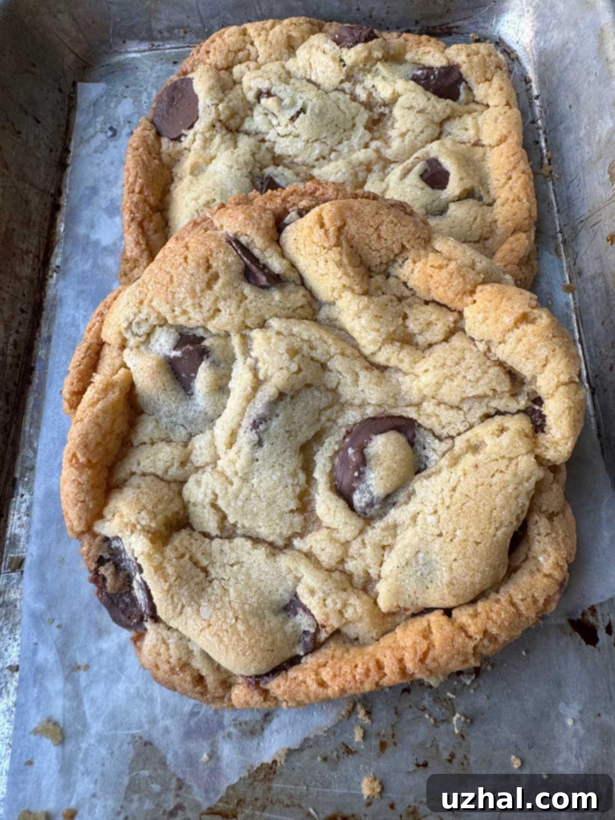 Freshly baked Pret A Manger copycat chocolate chip cookies made with White Lily self-rising flour