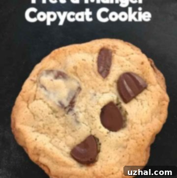 Pret A Manger Chocolate Chip Cookie Copycat