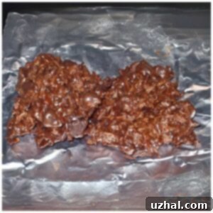 Chewy Chocolate Macaroons recipe from Cooking Light that calls for fat free condensed milk.