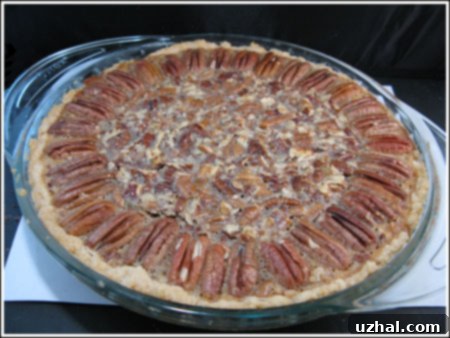 Close-up of a slice of egg-free pecan pie, showing the rich, gooey filling and chopped pecans.