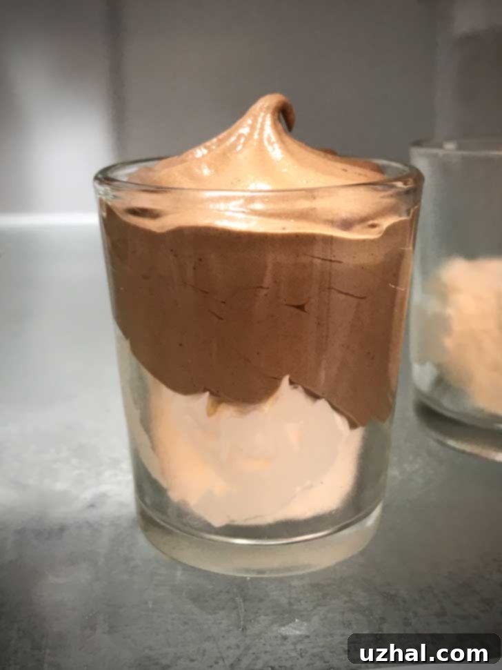 Light and fluffy chocolate mousse prepared with chocolate chips and whipped topping.