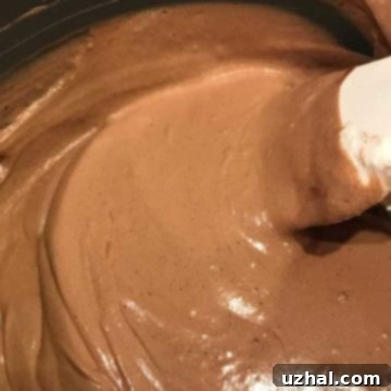 Melted Ice Cream Chocolate Mousse