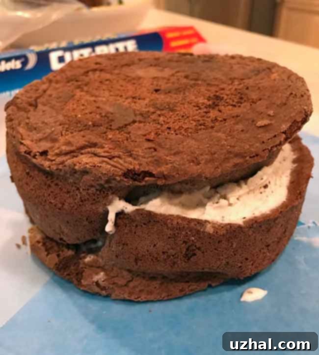 Six Inch Ice Cream Cake: Assembling the Layers