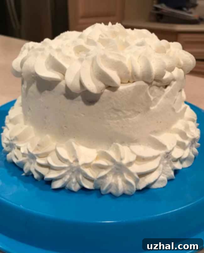 Six Inch Ice Cream Cake: Covered in Whipped Cream