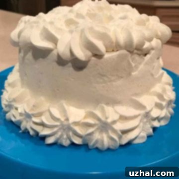 Six Inch Ice Cream Cake