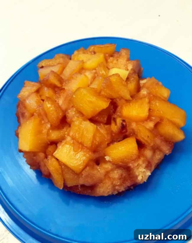Six-inch pineapple upside-down cake being assembled in a round baking pan, with pineapple chunks and cherries arranged at the bottom.