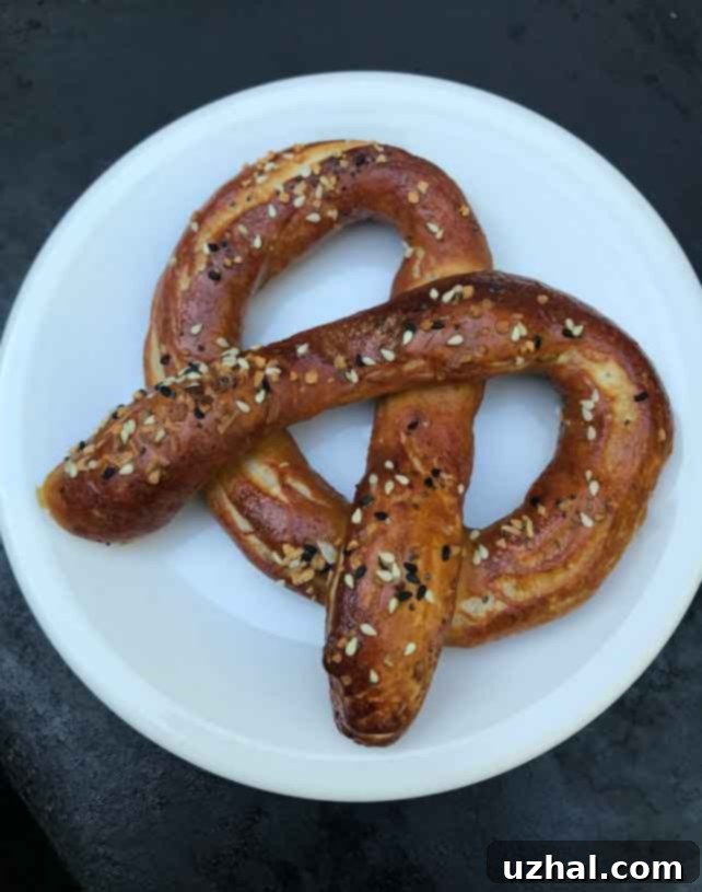 Easy Sourdough Discard Pretzels 2 golden brown sourdough discard pretzels with salt
