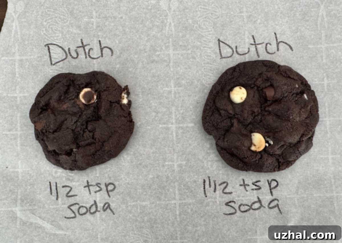 Subway Copycat Cookies - freshly baked and ready to enjoy