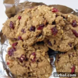 Cranberry Crunch Oatmeal Cookies made with ground graham crackers, showcasing their delightful texture.